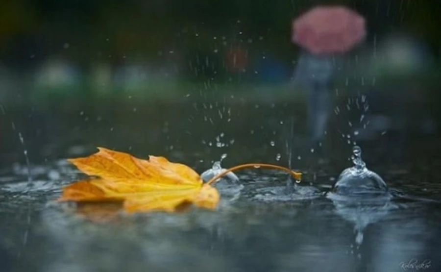 Украинцам обещают дожди и мокрый снег