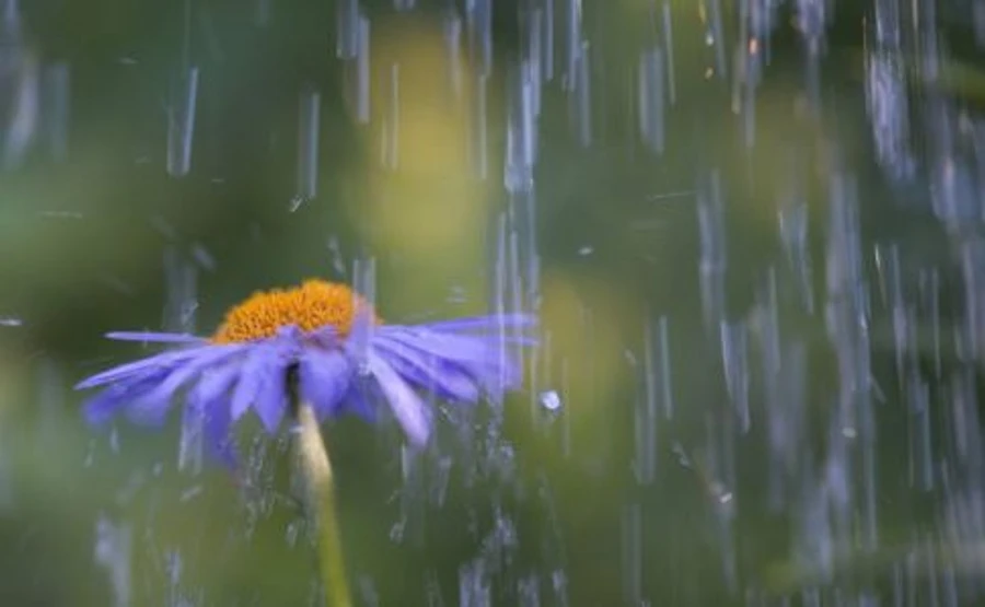 Неделя начнется грозами на западе и почти жарой