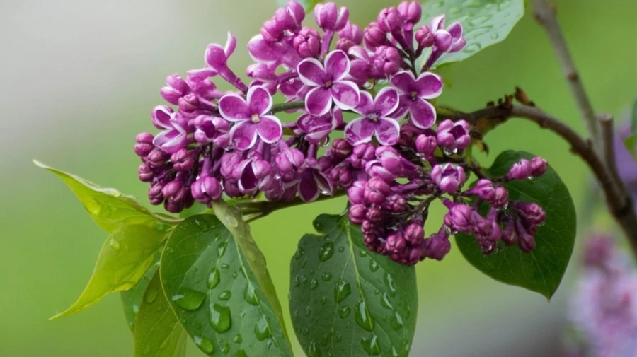 В воскресенье в Украине до 28° и грозы, возможно осложнение работы транспорта