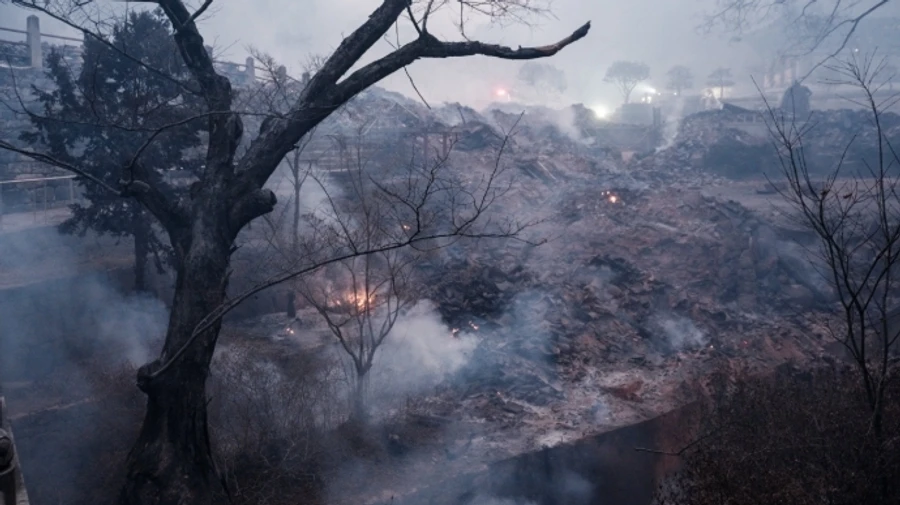 Лісові пожежі в Південній Кореї: кількість жертв зросла до 24