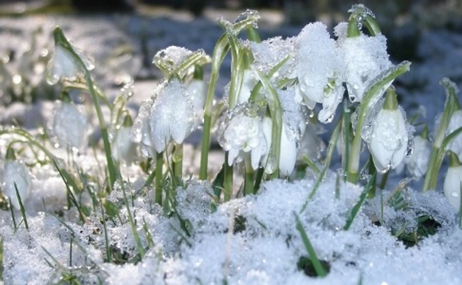 В Украину идет мороз: ночью до -6