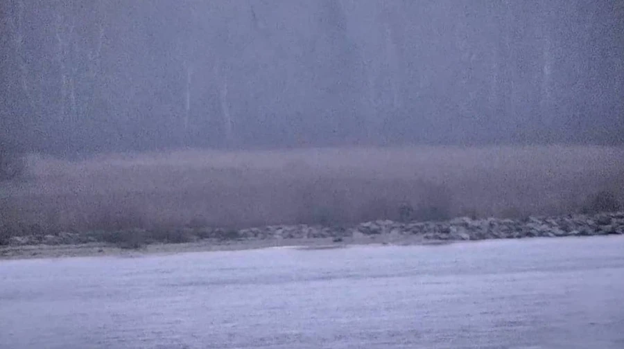 Russian border guards enter Estonian territory, foreign ministry summons Russian chargé d'affaires