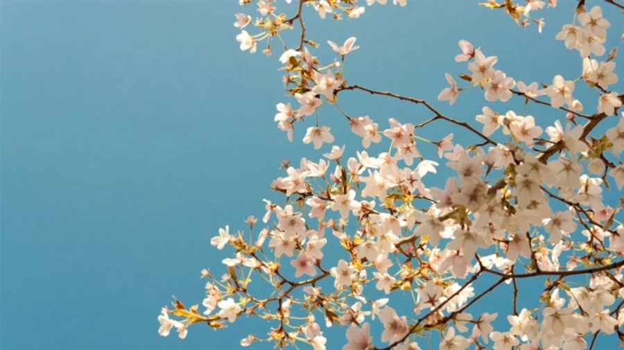 У середу в Україні подекуди дощитиме, а надалі без опадів