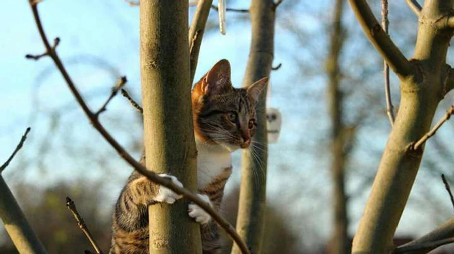 В понедельник во всей Украине будет тепло