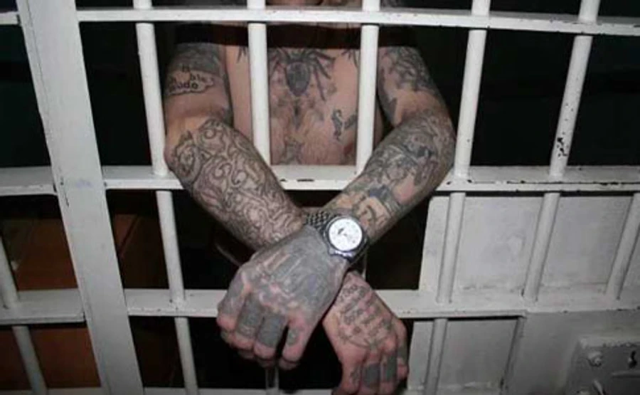 Рада відправила на повторну підготовку законопроєкт про злодіїв у законі