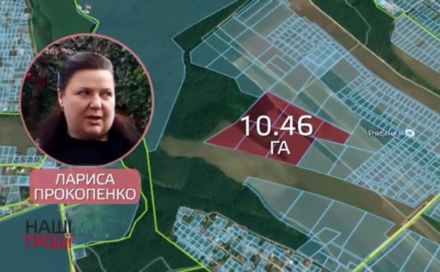 Наші Гроші розказали, як сестра діамантового прокурора заволоділа 10 га землі