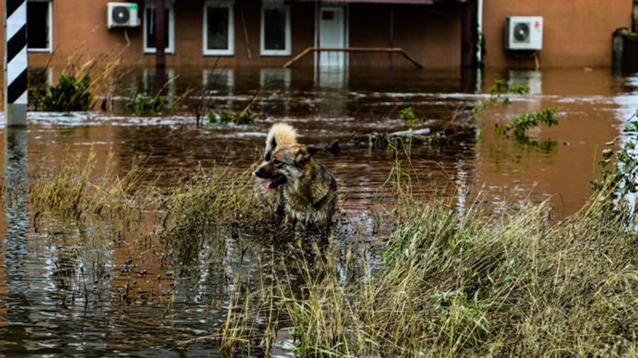 Flooding level in Kherson Oblast decreases to 2.7 m