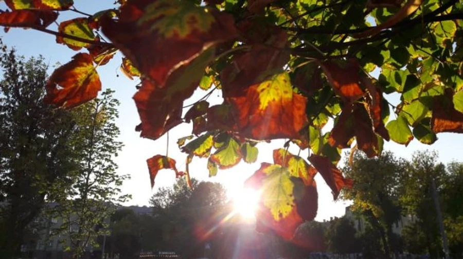 Україну чекають заморозки, на заході тепло й дощі