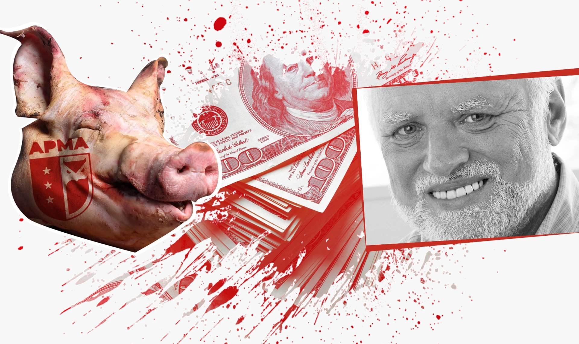 $400 тысяч и свиная голова. Как из-под государственного надзора исчез арестованный бандитский общак