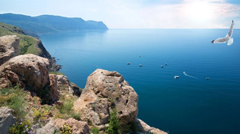 Все дороги ведут в Крым: 6 жизненных историй о смехе и слезах, радости и драме на полуострове