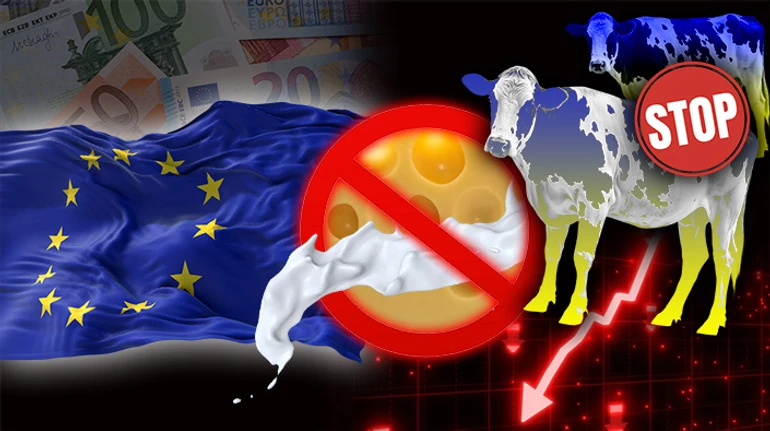 Лавочку прикрыли: как ЕС разрушил экспорт украинской молочной продукции