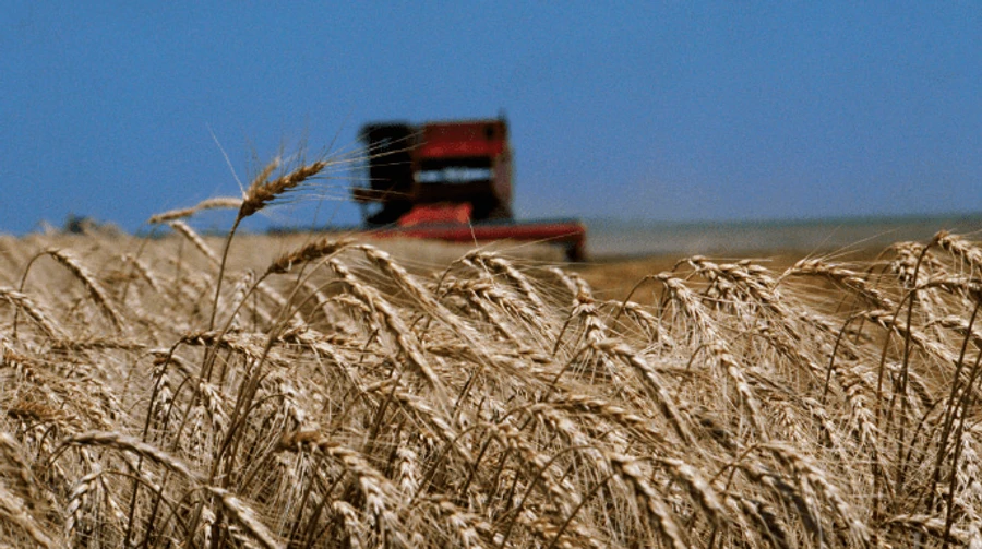 Білий дім: США намагаються завадити іншим країнам купувати вкрадене Росією зерно