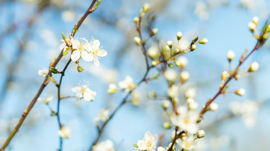 Синоптики рассказали, когда в Украину вернется тепло