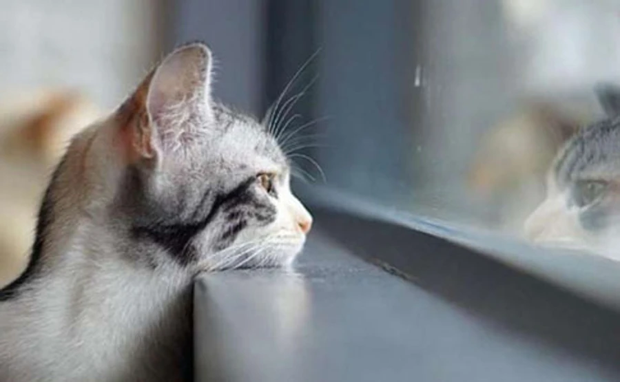 Погода готовит карантинные качели: солнце и тепло, а затем мокрый снег