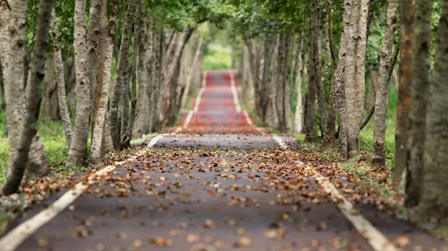 Вересень у Києві виявився холоднішим за норму