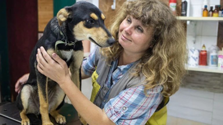 200 собак, 20 кошек, курица и коза: как в приюте на Львовщине заботятся о бездомных животных