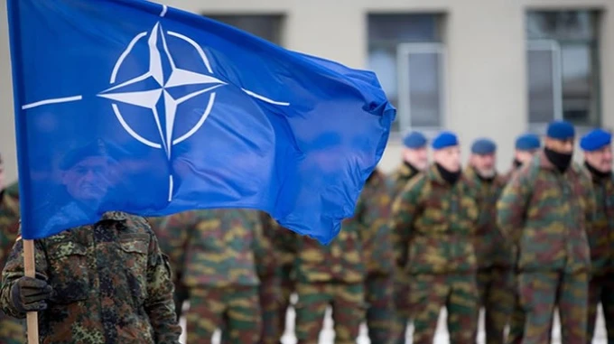Україна та Грузія координуватимуть дії для отримання ПДЧ в НАТО