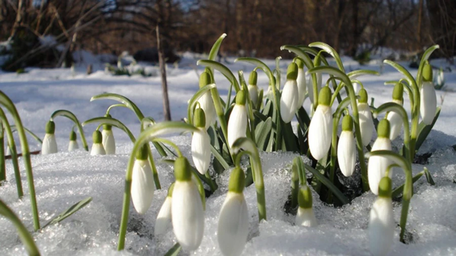В Украине будет прохладно и снег с дождем