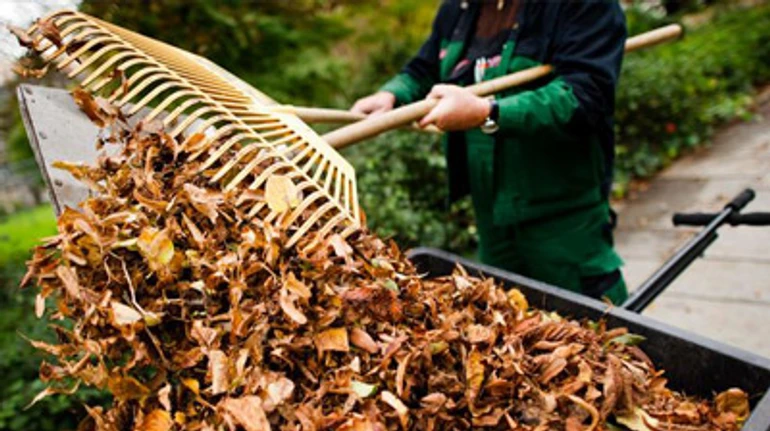 Штрафы за подпал травы: как сделать окружающую среду чище и не поссориться с соседями