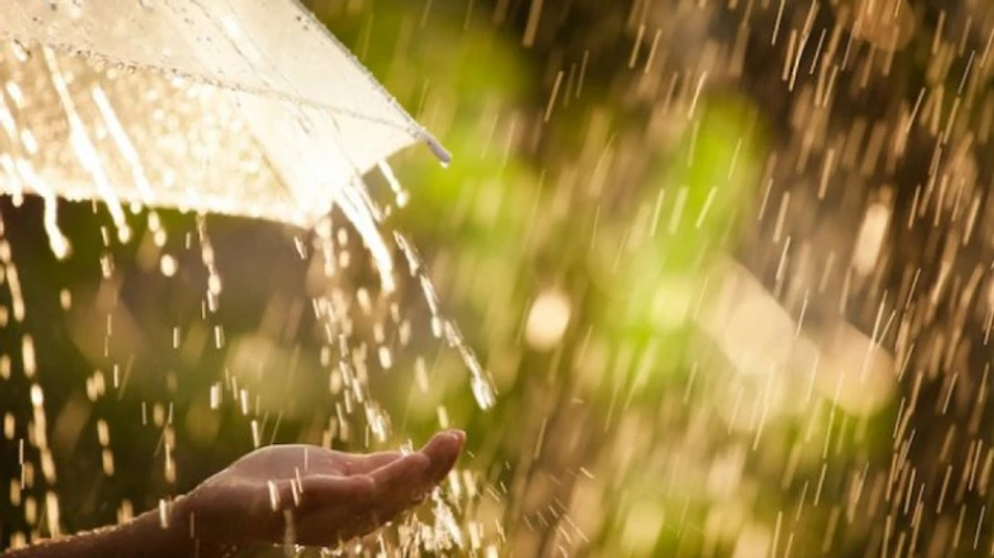 Погода в воскресенье: жара и местами сильные дожди