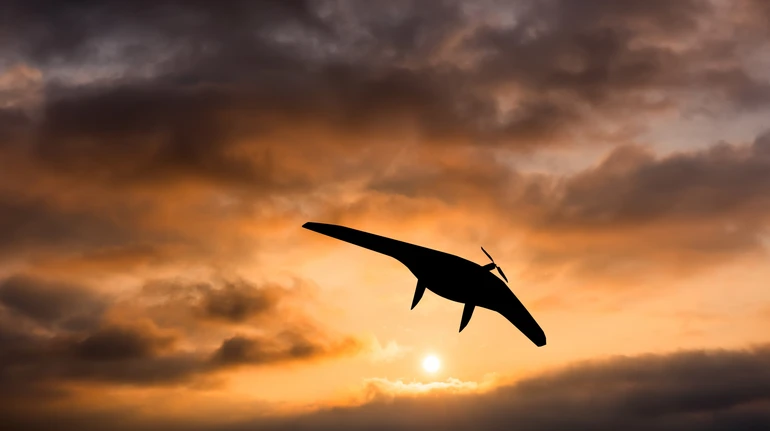 Ворог намагається прорватися у прикордонному селі Попівка на Сумщині – Трегубов