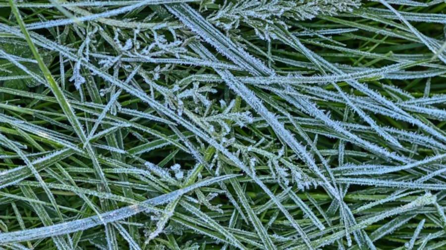 Синоптики прогнозируют дождь и заморозки
