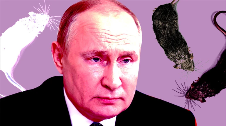 Мир настоящего