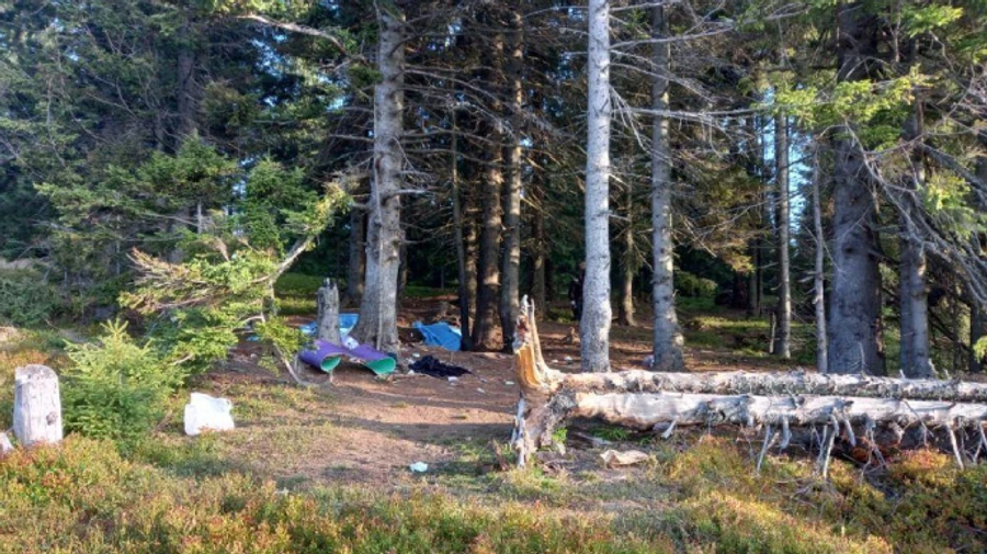 Головні новини четверга і ночі: Дуда про Україну в ЄС, вибух снаряда на Рахівщині