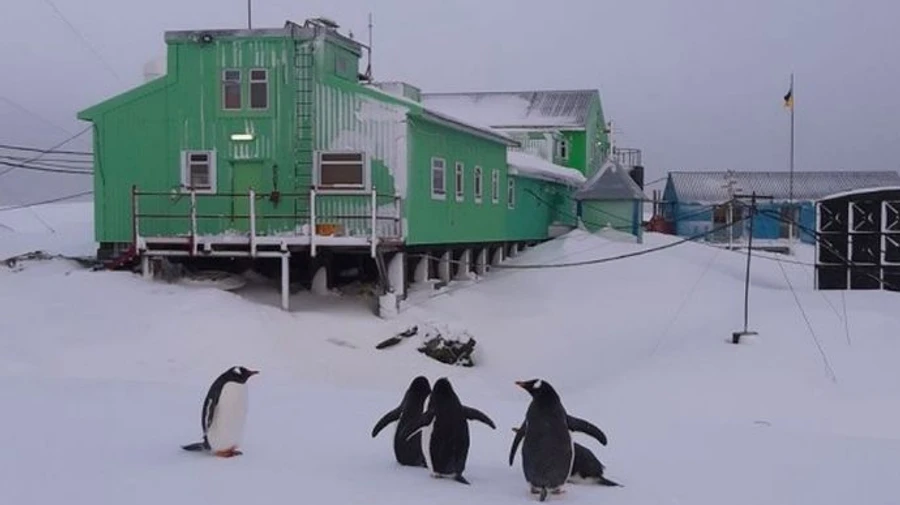 Украина купит ледокол для антарктических экспедиций. Кабмин выделил средства