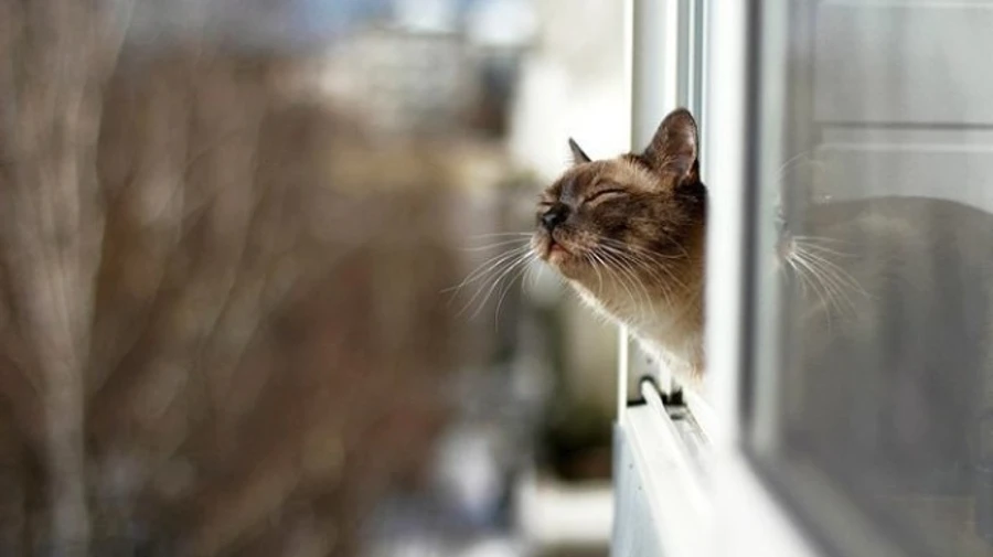 Українців потішить весняна погода