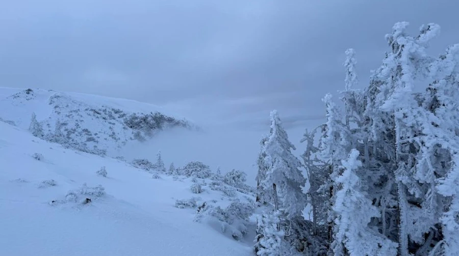 Січень 2026 року став найхолоднішим в Європі за останні 15 років
