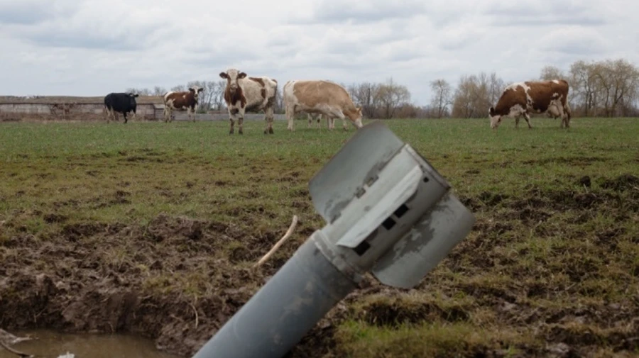 Actions against ecocide in Ukraine to be held around world on International Earth Day: how to join