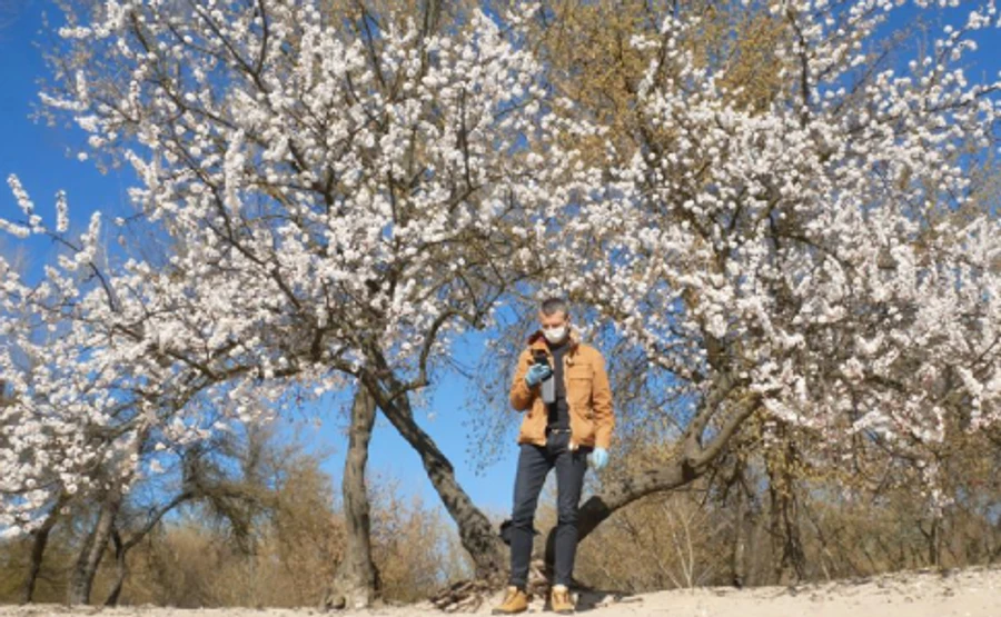 Погода готовит качели похолодания и тепла