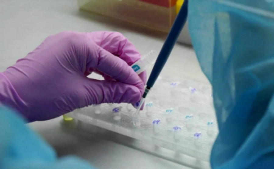 Стало відомо, як пройшли тести евакуйовані з Латвії українці