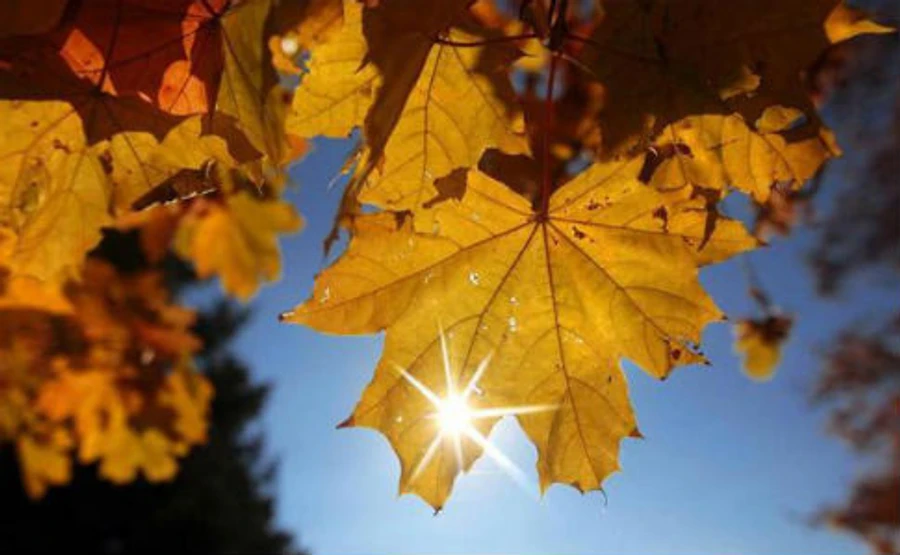 Синоптическая идиллия: почти по всей стране будет тепло и сухо