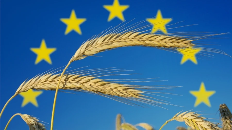 В ЕС планируют обложить новыми пошлинами агропродукцию и удобрения из РФ и Беларуси