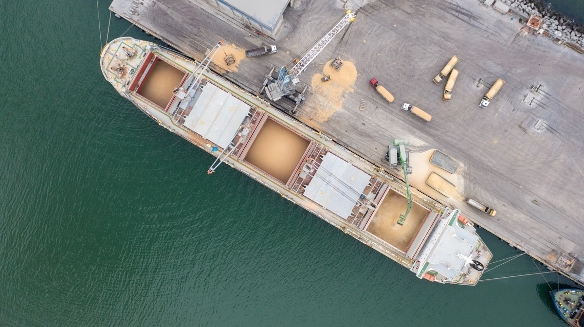 Russia exported over two million tonnes of grain from Ukraine's temporarily occupied territories in 2025