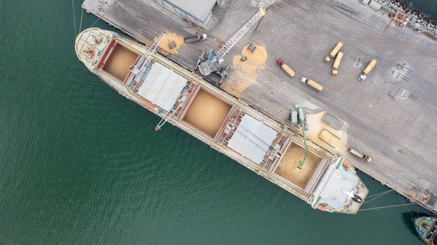 СЗР: Россия за год вывезла с ВОТ Украины более 2 млн тонн зерна