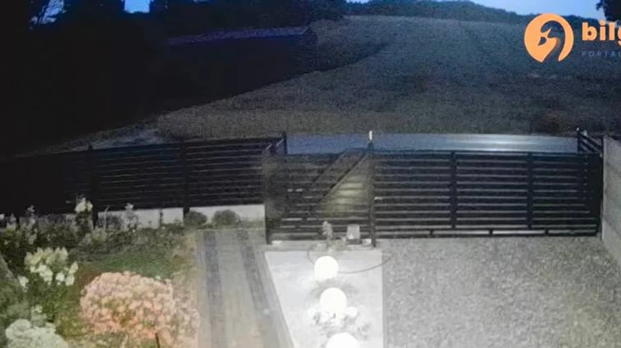 В Польше показали момент падения объекта, который Украина называет ракетой Х-101