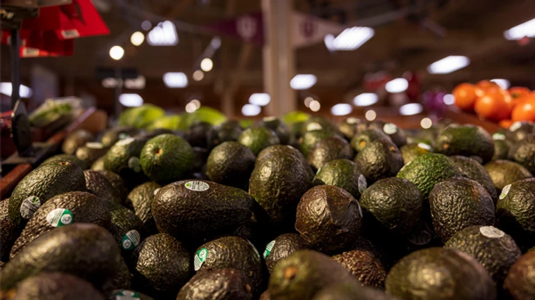 Зелене золото: як авокадо підкорило світ і скільки заробляють країни-експортери