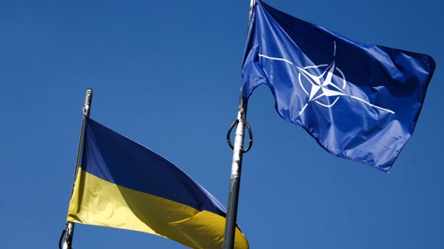 NATO membership for Ukraine is set in stone, Washington summit commitments remain in force, Alliance official says