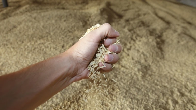 Russia exports stolen Ukrainian grain to Türkiye, Libya and Israel, investigation reveals