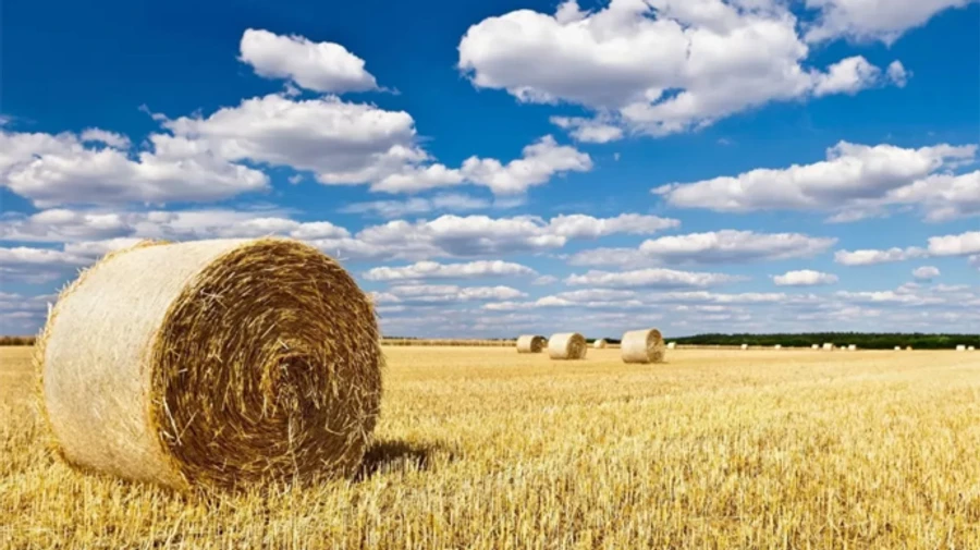 В Украине сохранится сухая и прохладная погода