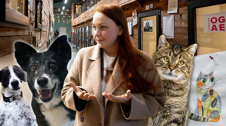Йога, чтение и никаких клеток. Как центр адопции в Киеве дарит новую жизнь животным с фронта