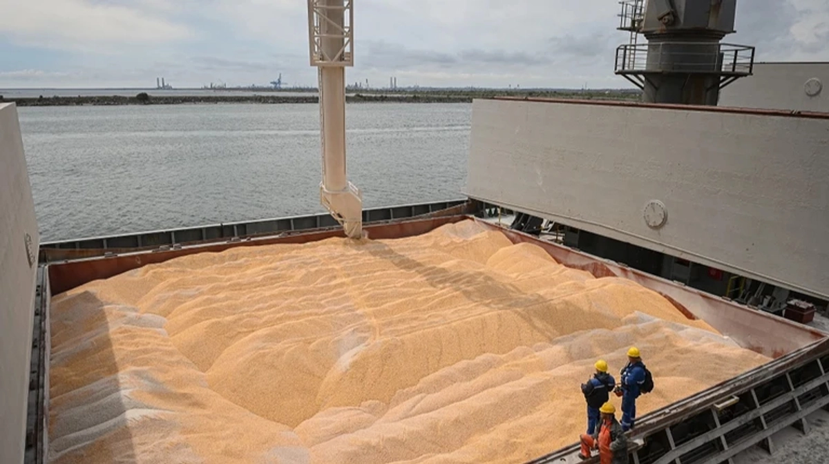 Experts analyse impact of Russian strikes on Ukraine's agricultural exports