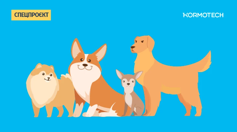 Що треба знати про собаку, перш ніж її заводити? Подкаст Лапи, вуха, хвіст