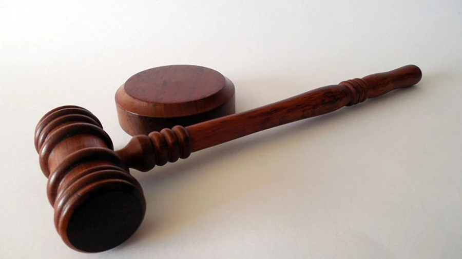 Фігуранту справи про хабарі ліснику Януковича дали 10 років