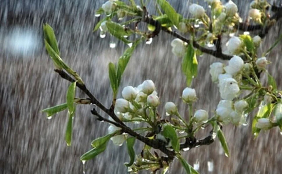 В Україні прогнозують мокрий сніг і вітрисько