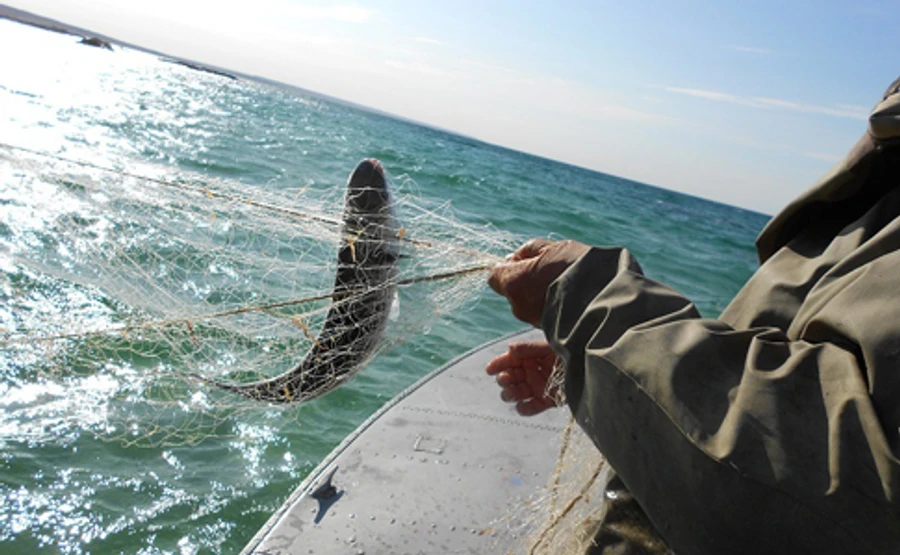 Київ направив Москві ноту: вимагає звільнити українських рибалок