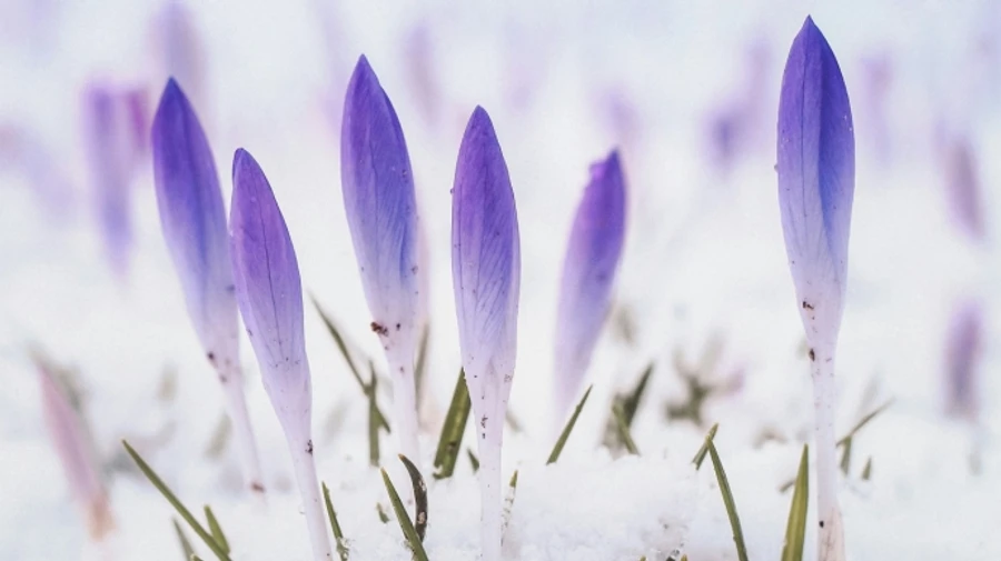 На вихідних в Україну прийде тепло – прогноз